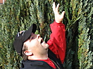 2006