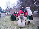 2006