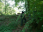 2007