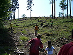 2007