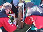 2007