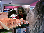 2009