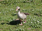 2015